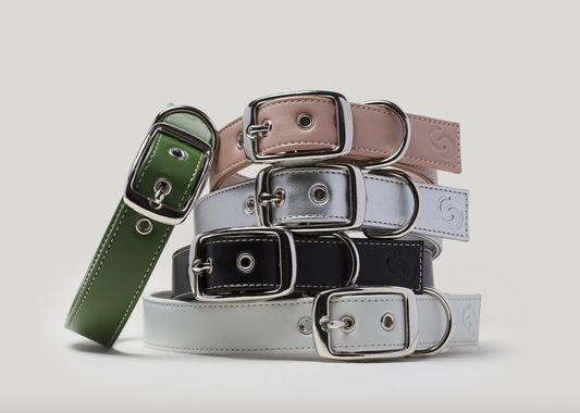 Apple leather dog collar — Ice Blue, adjustable fit