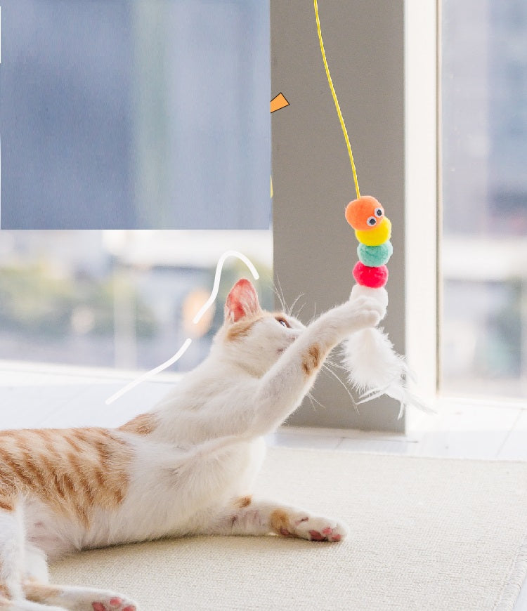 Cat playing with caterpillar teaser wand toy