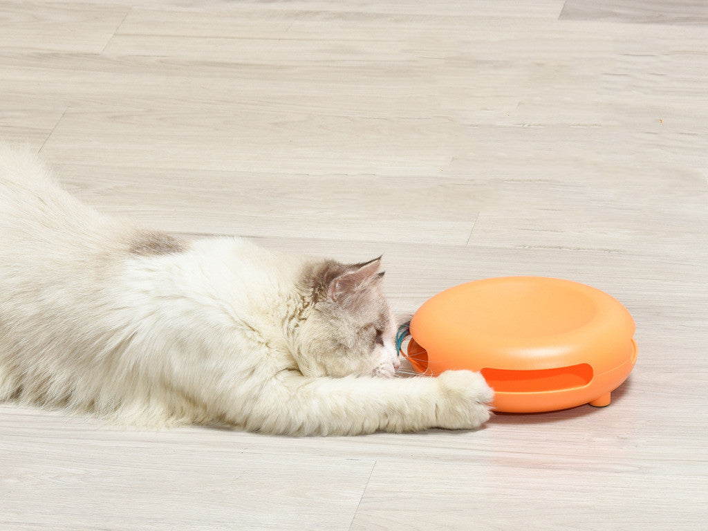 Interactive cat feeding station — slow feeding enrichment puzzle