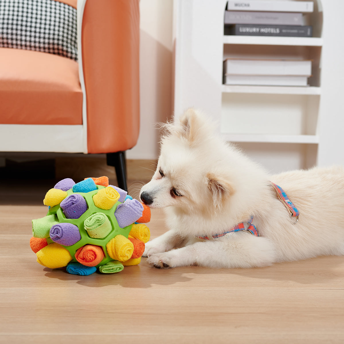 Puzzle sniff ball for dogs — how treats are hidden inside