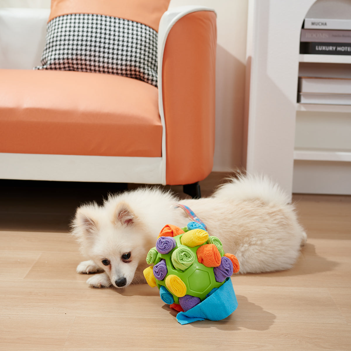 Dog sniff enrichment ball — size comparison