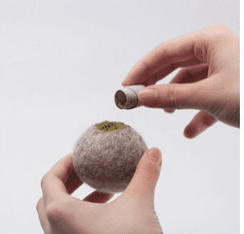Catnip toy set — refillable capsule design