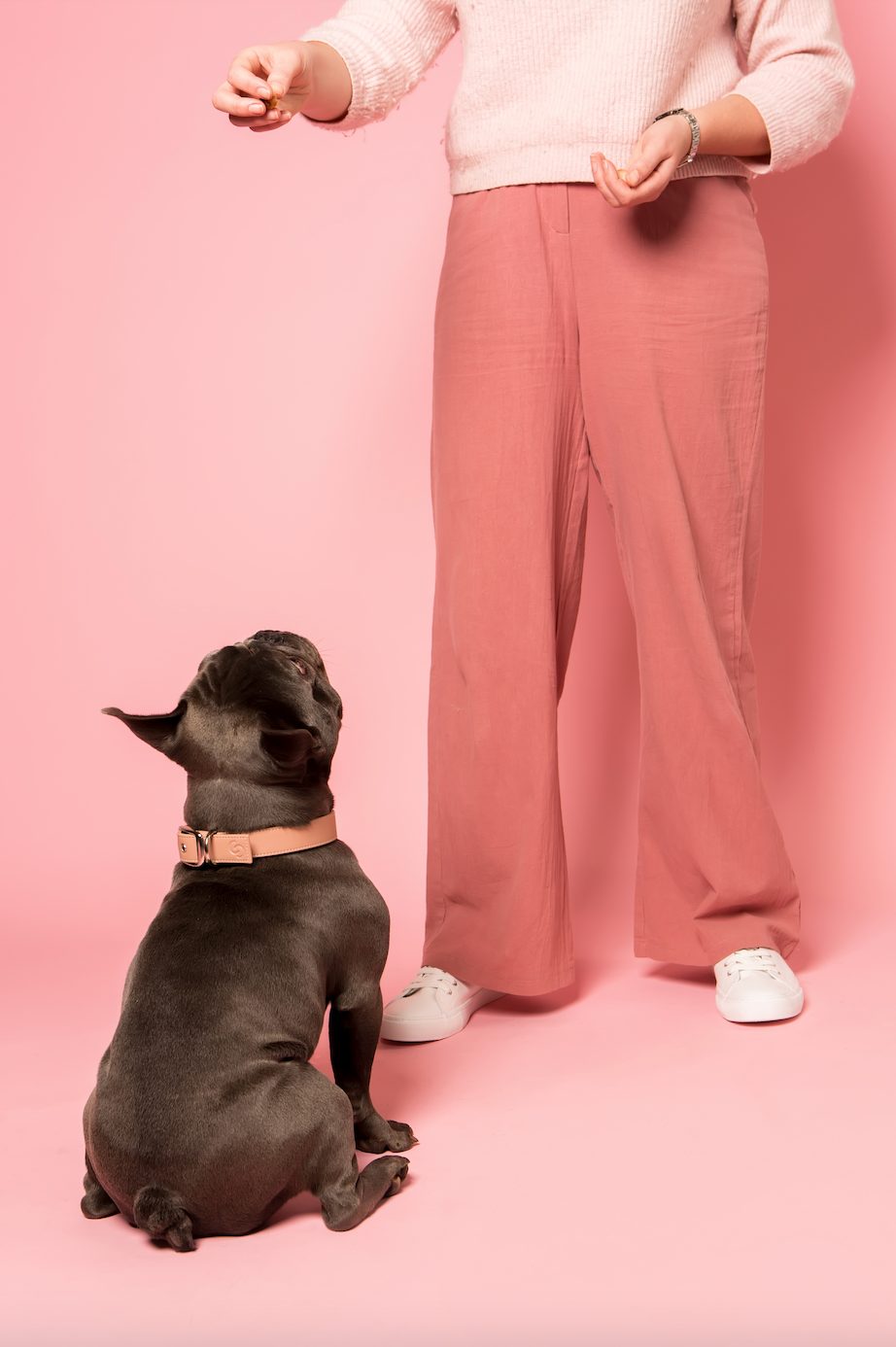 Luxury vegan dog collar — Blush Pink apple leather