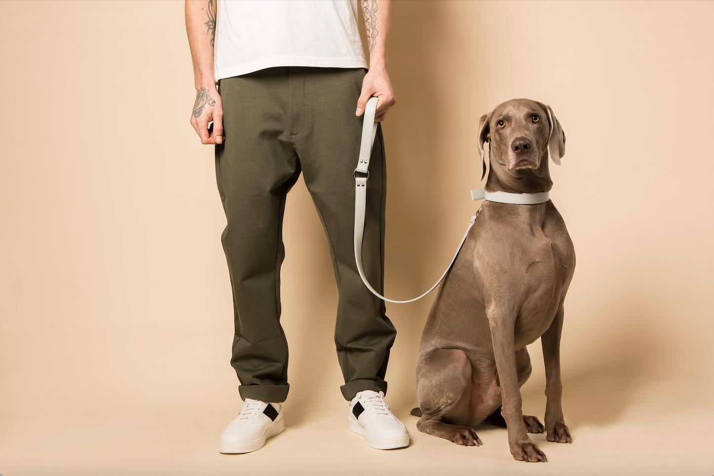 Dog collar in Ice Blue — vegan apple leather material