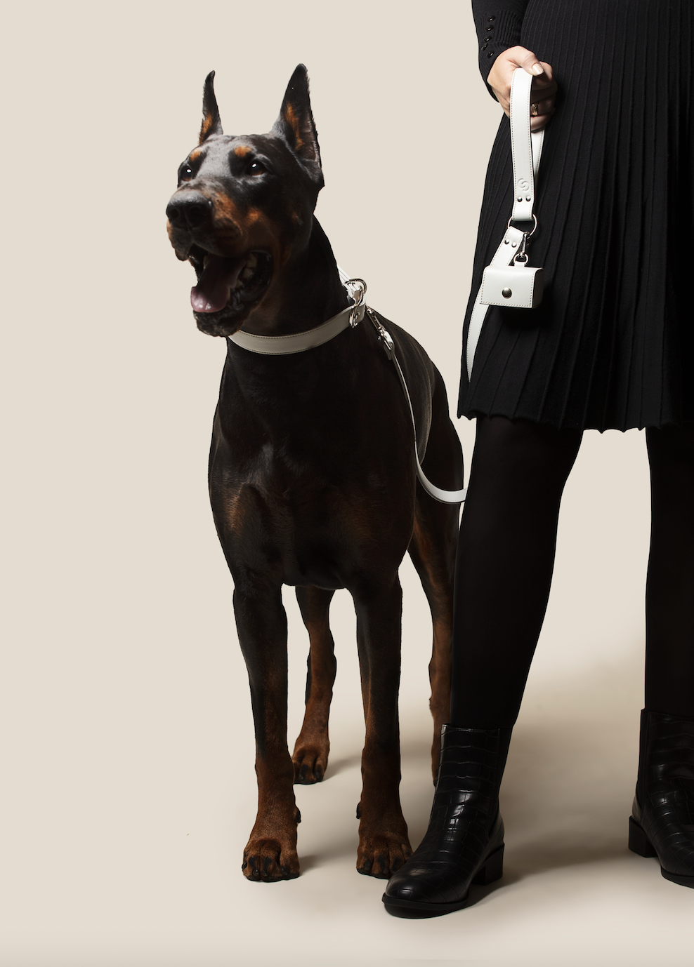 Dog collar and lead set — apple leather vegan lifestyle photo