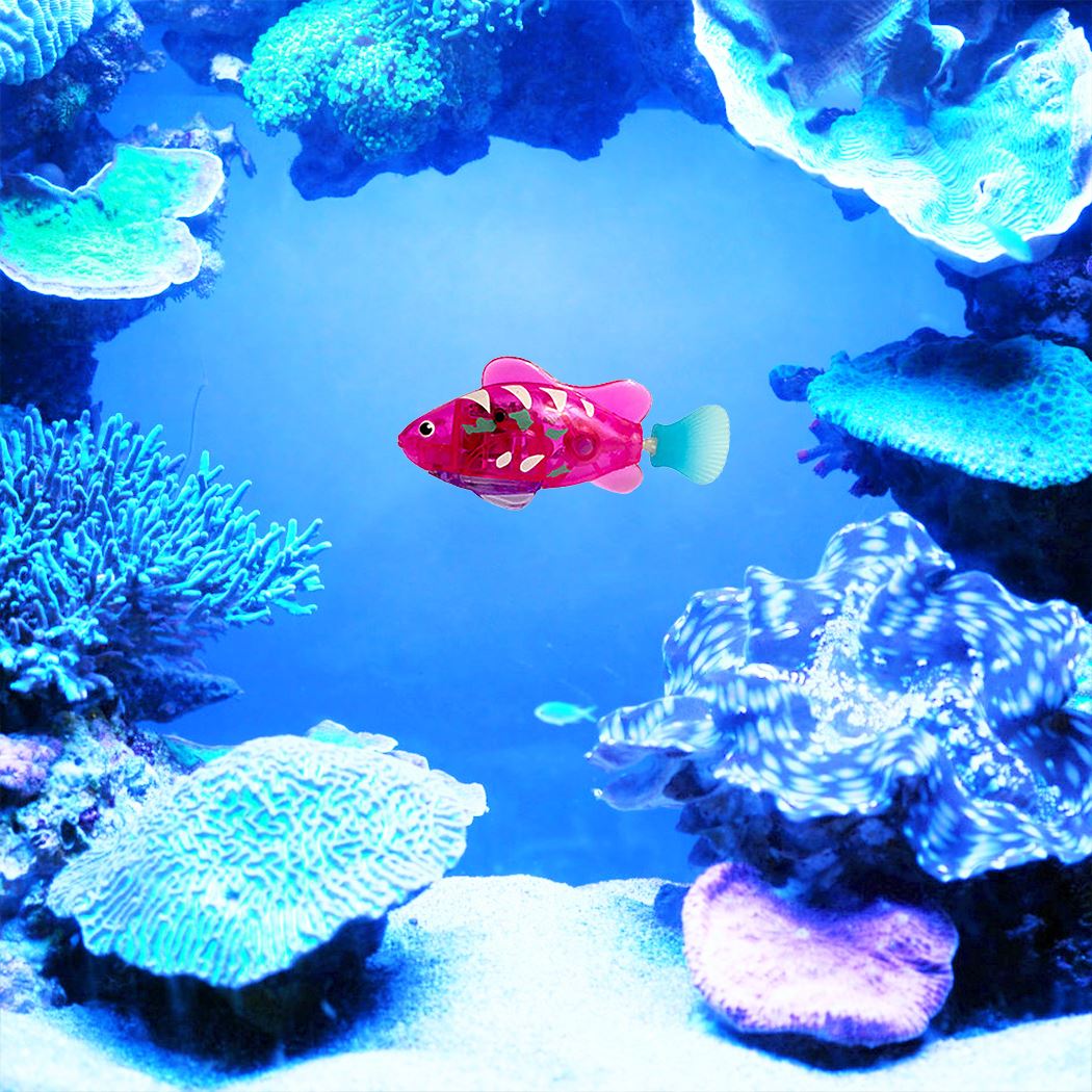 Cat playing with electronic swimming fish toy
