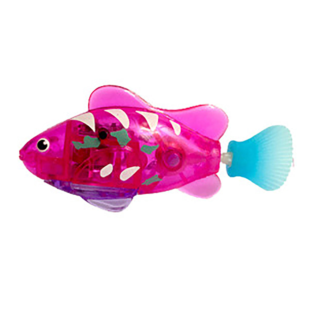 Electric fish cat toy — enrichment play in action