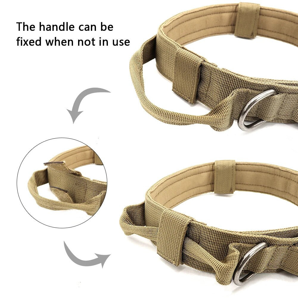 Tactical dog collar — folding grab handle for control