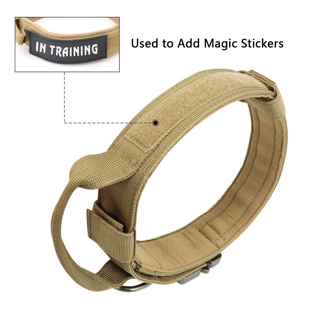 Tactical dog collar — Velcro MOLLE panel for ID and training patches